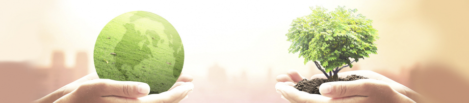 Մեր մոլորակը 